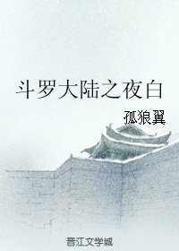 (斗羅大陸同人)斗羅大陸之夜白