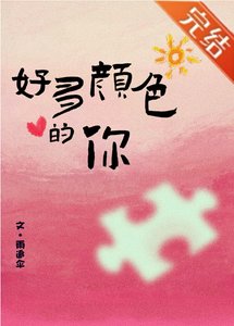 一幅拼图画
